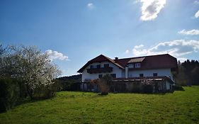 Goldener Hahn Apartments